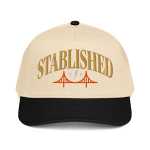 STABLISHED - 5 Panel Snapback